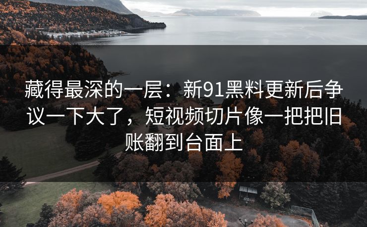 藏得最深的一层：新91黑料更新后争议一下大了，短视频切片像一把把旧账翻到台面上