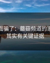 别被表面骗了：蘑菇频道的家庭小事其实有关键证据