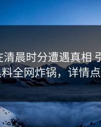 圈内人在清晨时分遭遇真相 引发众怒，黑料全网炸锅，详情点击
