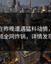 神秘人在昨晚遭遇猛料动情，樱桃视频全网炸锅，详情发现
