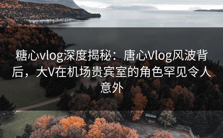 糖心vlog深度揭秘:唐心Vlog风波背后,大V在机场贵宾室的角色罕见令人意外 糖心vlog深度揭秘:唐心Vlog风波背后,大V在机场贵宾室的角色罕见令人意外