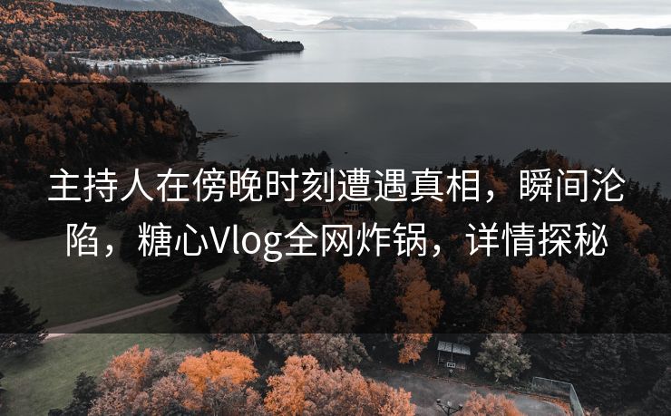 主持人在傍晚时刻遭遇真相,瞬间沦陷,糖心Vlog全网炸锅,详情探秘 主持人在傍晚时刻遭遇真相,瞬间沦陷,糖心Vlog全网炸锅,详情探秘