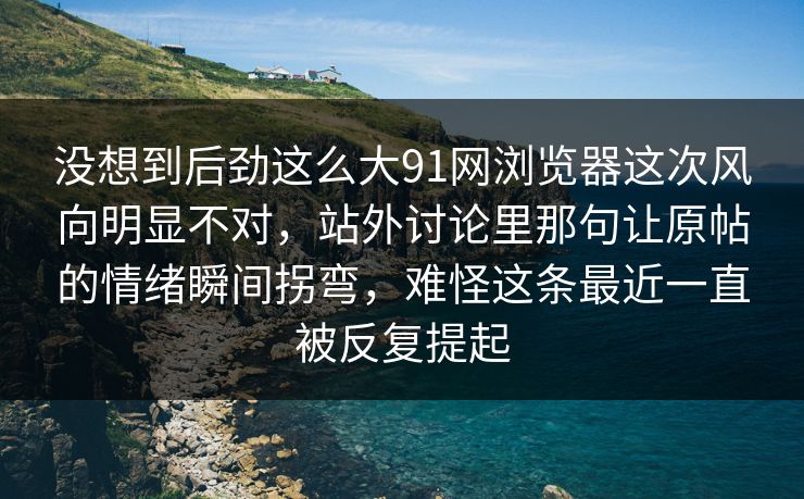 没想到后劲这么大91网浏览器这次风向明显不对，站外讨论里那句让原帖的情绪瞬间拐弯，难怪这条最近一直被反复提起